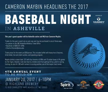 baseball night image