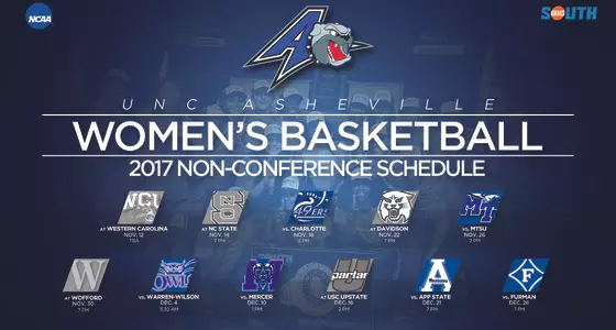 WBB Non-Conf Web Use