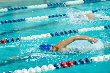 Swimming & Diving Earn Nine Lifetime Bests and 23 Season Bests on Friday at the Fall Frenzy Invite Image