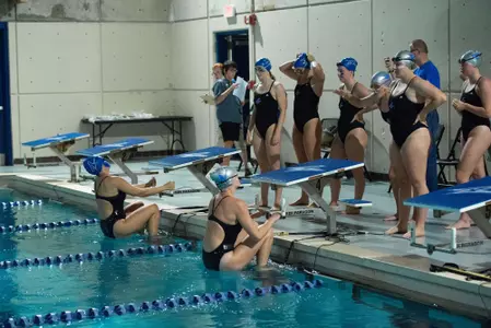 Swimming & Diving Returns to Action at Florida Gulf Coast Image