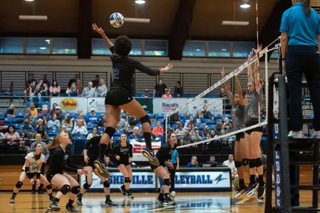 Bulldog Volleyball Completes Day Two at Georgia Tech Invitational Image