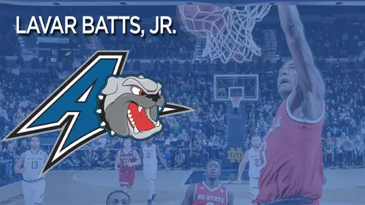 Batts 2