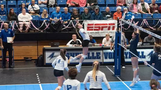 Ansley Rooks
