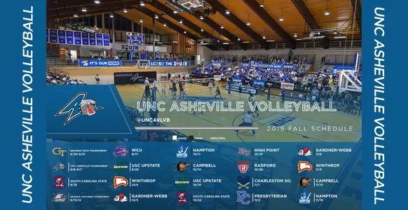 vb web schedule use 2019