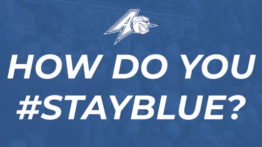 stay blue