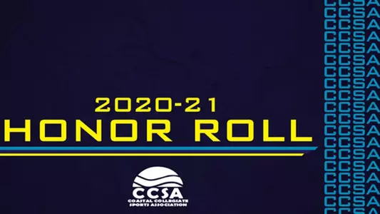 CCSA