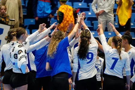vb-team