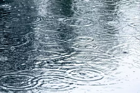 rain