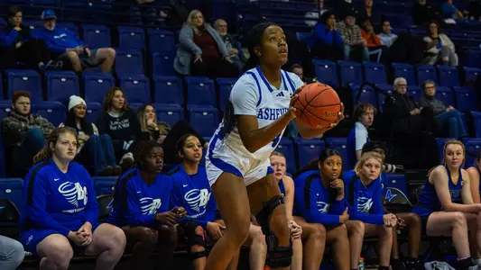 Taylor Wilkins Brevard