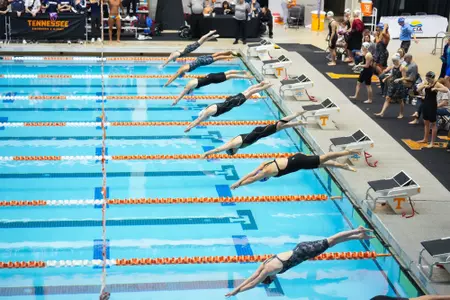swim