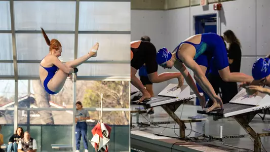 Swim Dive Tri-Meet Recap