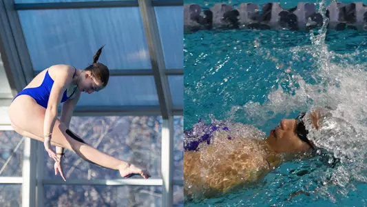 Swim Dive ASUN Championships preview