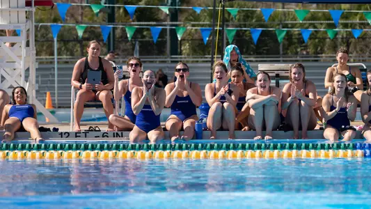 Swim_Dive_Cheer