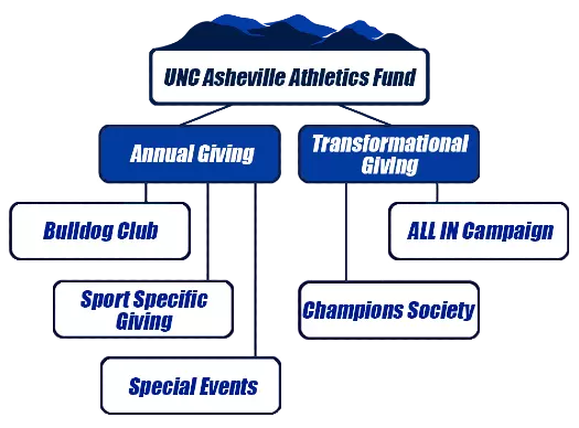 UNC Asheville Athletics Fund