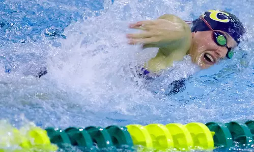 Gutt completes academic trifecta Image