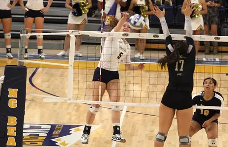 Timarie vs Idaho