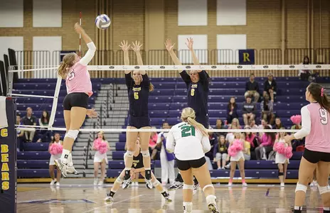 Timarir and Bri