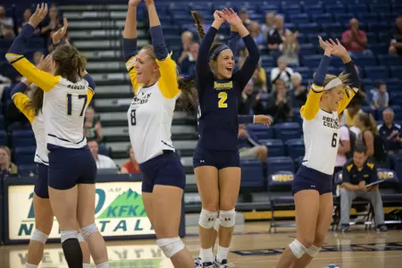 VB Team