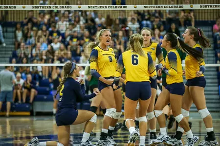 VB Team