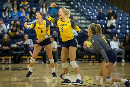 Team vs IU