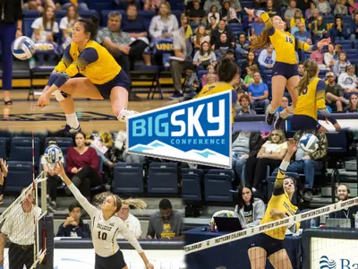 VB All Conference