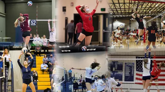 Vb Signees