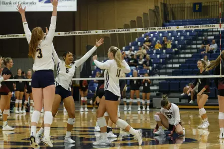 Volleyball Celebration