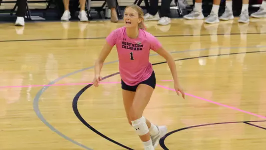 Reines vs. Montana State