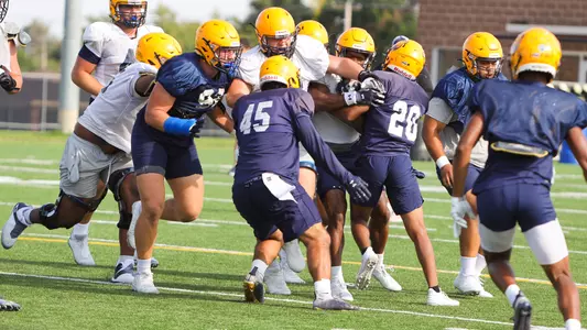 Linebackers