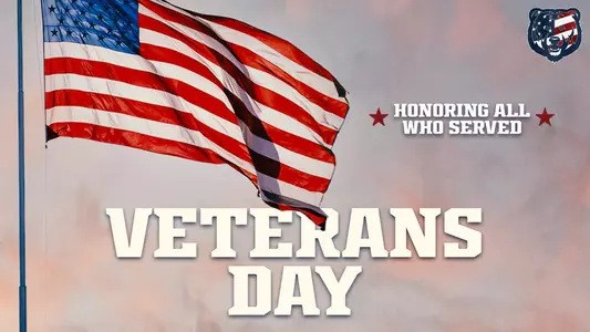 Veterans Day Graphic