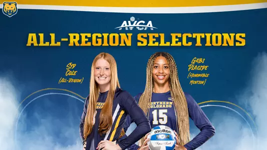 AVCA Graphic 2024