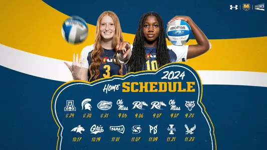 Volleyball Schedule Graphic 2024-2