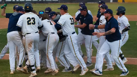 Dog Pile Baseball