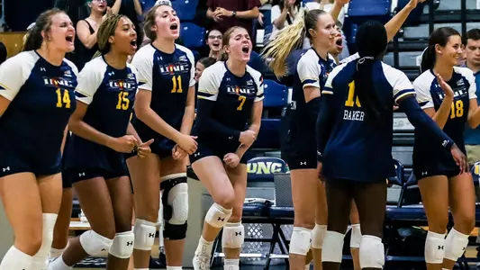 Volleyball Bench Cheering