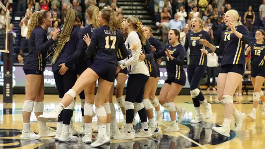 Volleyball Celebration