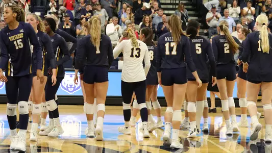 Team Shaking Hands - VB