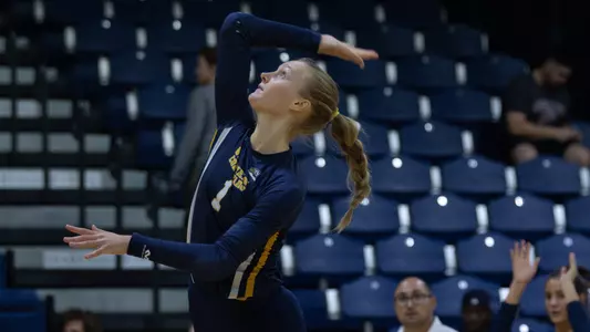 Brynn Reines