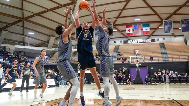 Egan Shields at Portland