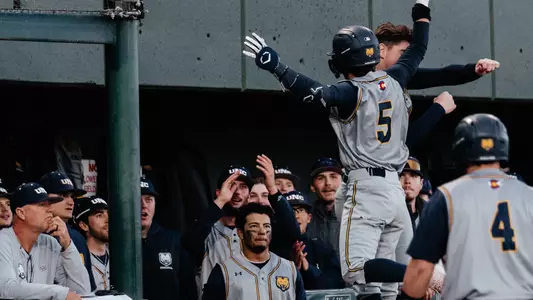 Baseball Celebration