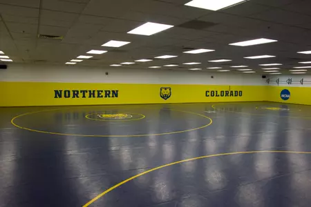 Wrestling Room Mat