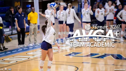 VB Academic Award