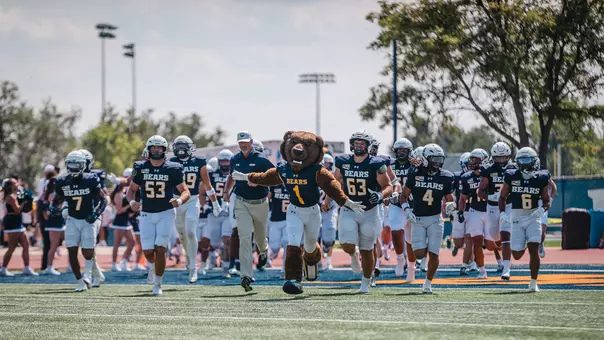 Bears Running on the Field