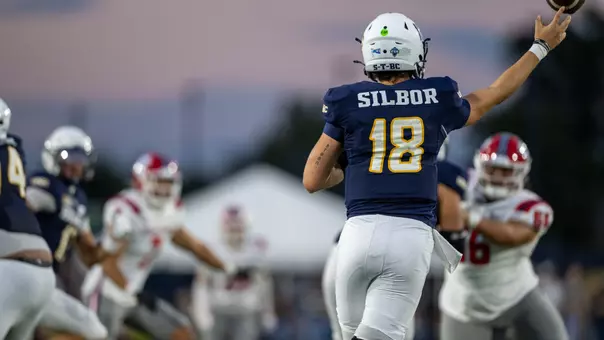 Brayten Silbor
