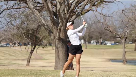 Timbre Shehee Swinging