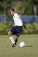 Dolphins down Ospreys Image