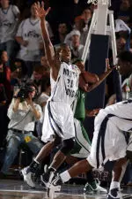 Ospreys can't smoke Camels Image