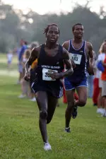 Indoor track concludes Diet Pepsi Invitational Image