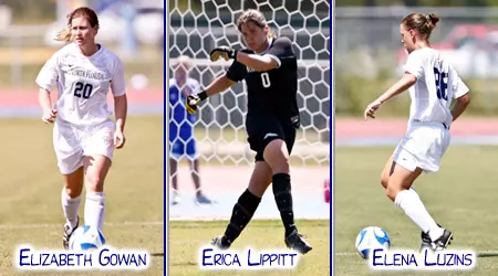 Gowan, Lippitt, Luzins