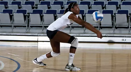 Marshay Greenlee
