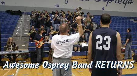 Awesome Osprey Band
